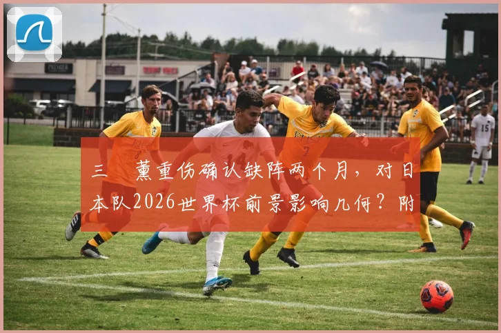 三笘薰重伤确认缺阵两个月,对日本队2026世界杯前景影响几何?附最新伤情分析与锋线备选